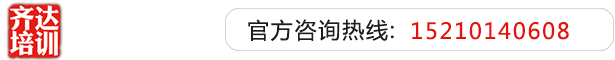 张玉高操逼操逼片齐达艺考文化课-艺术生文化课,艺术类文化课,艺考生文化课logo